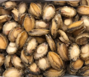 【食品進(jìn)口】海參、鮑魚(yú)等海味干貨報(bào)關(guān)指南