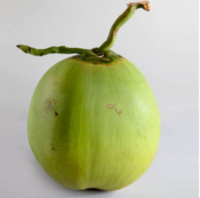 椰青進(jìn)口.png