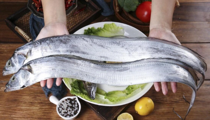 帶魚.jpg