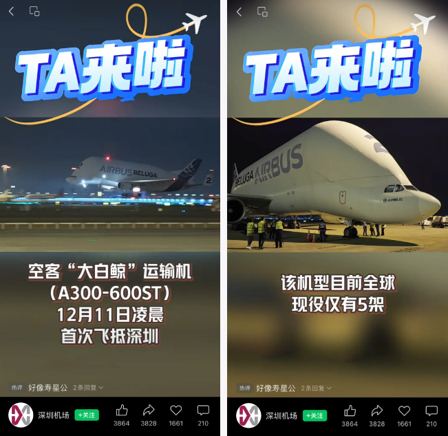 飛機報關.jpg
