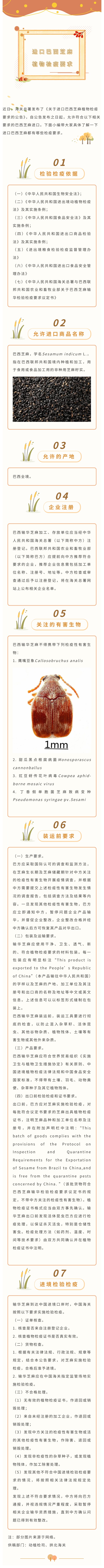 巴西芝麻進口.jpg