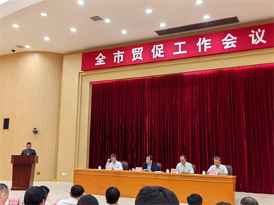 鵬通董事長參加?xùn)|莞市2025年貿(mào)促工作會議和外貿(mào)企業(yè)代表座談會