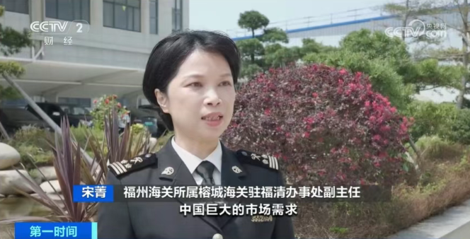 椰子3.jpg