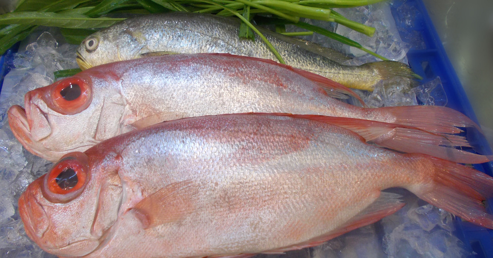 冰鮮魚(yú)進(jìn)口需要提供哪些單證資料？