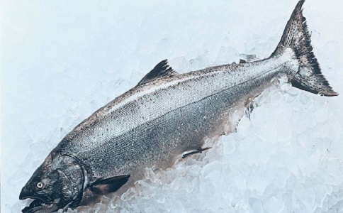 進(jìn)口魚(yú)