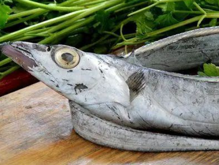 帶魚進口東莞虎門港報關(guān),帶魚進口報關(guān),帶魚東莞報關(guān)