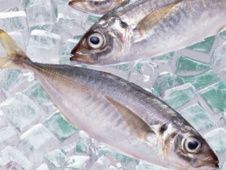 冷凍魚東莞進(jìn)口報(bào)關(guān)代理,冷凍魚報(bào)關(guān)代理,冷凍魚進(jìn)口報(bào)關(guān)