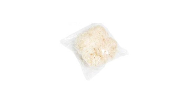 營(yíng)養(yǎng)植物歸類