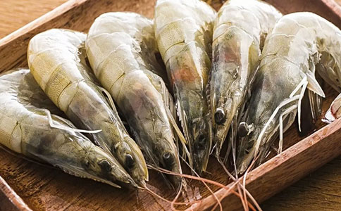 深圳進口水產(chǎn)品報關(guān)