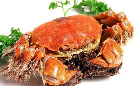 青島水產(chǎn)品進(jìn)口報(bào)關(guān)公司