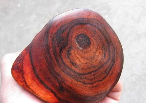 大紅酸枝原木進(jìn)口報(bào)關(guān)