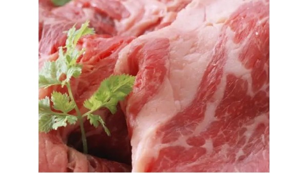 巴西冷凍豬肉蛇口食品清關(guān)公司報檢操作