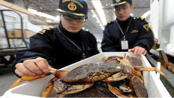 海鮮進(jìn)口