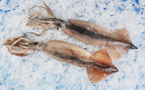 魷魚(yú)進(jìn)口報(bào)關(guān)
