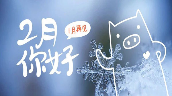 2月，這些海關(guān)政策快來看！